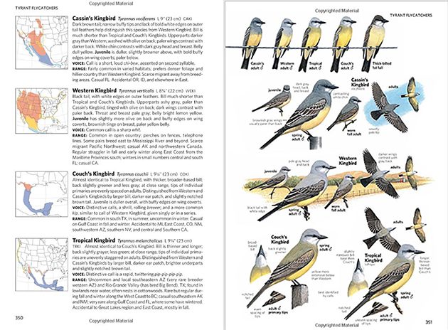 The 5 Best Field Guides for the Birds of North America - Gulo in