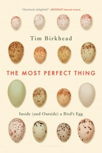 The Most Perfect Thing cover image
