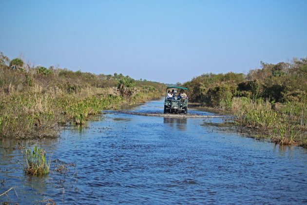 florida, nature, travel