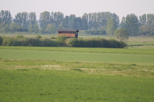 observation tower havellandisches luch