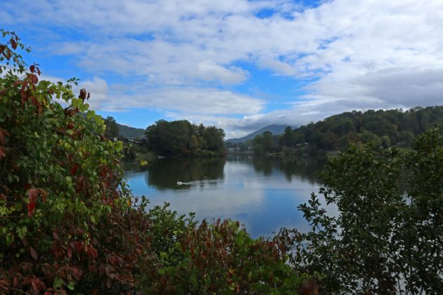 nature, north carolina, birding