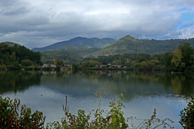 Birding Lake Junaluska 10,000 Birds