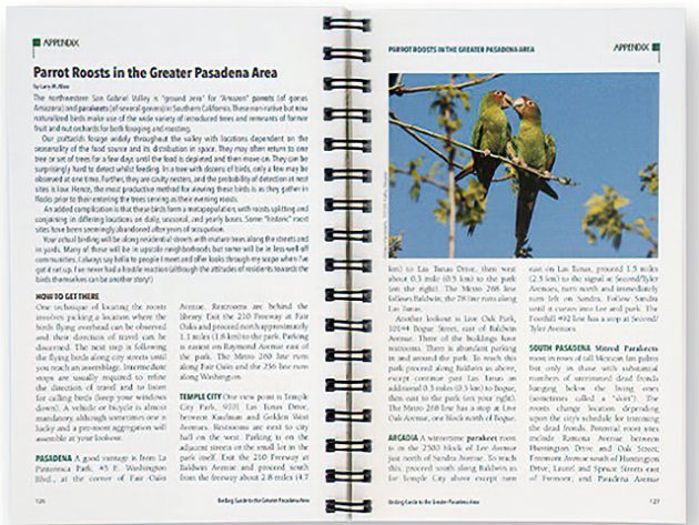 Animalstuffstore parrot-rooses.630-630x473 Critiques of ABA Subject Information to Birds of Maine & Birding Information to the Larger Pasadena Space – 10,000 Birds Bird  