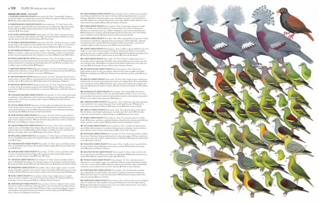 thumbnail image 2 of Collins Complete Guide To British Wildlife (Handguide) By Norman Arlott 2 of 2