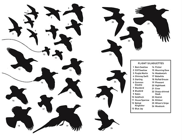 Peterson Field Guide to Birds of Western North America & Peterson Field