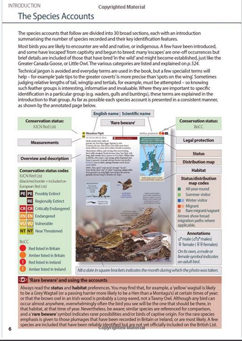 species-accounts-page-500