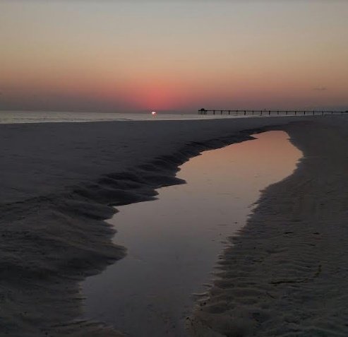 sunset, nature, florida