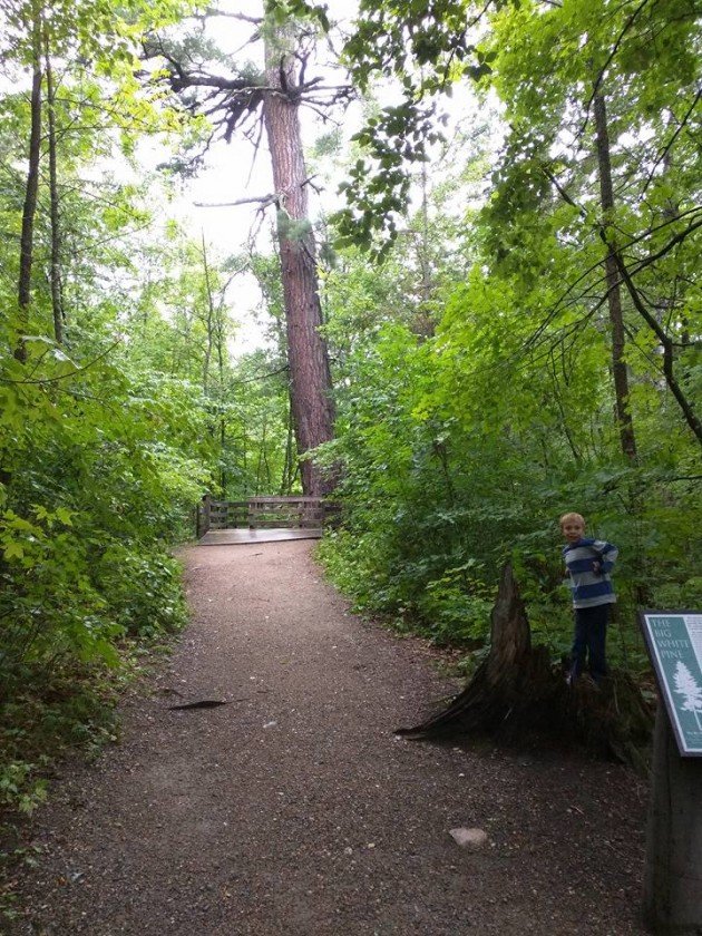 The Birds at Itasca State Park Are All Wet 10,000 Birds
