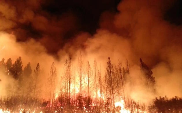 Rim Fire