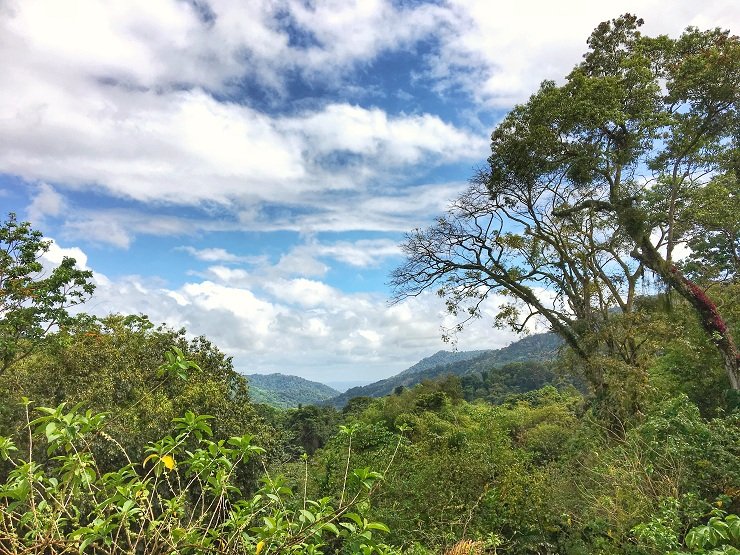 Trogons, Trinidad and – 10,000 Birds