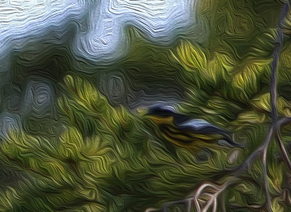 magnolia warbler, nature, birding