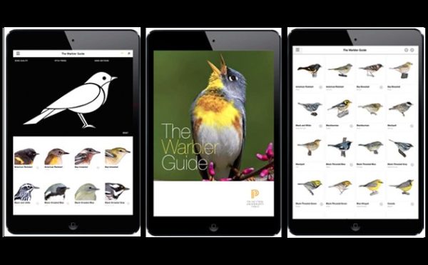 The Warbler Guide App: A Review by an App-loving Birder - 10,000 Birds