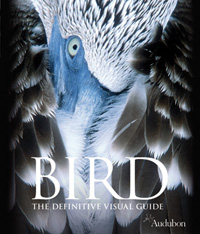 BIRD: The Definitive Visual Guide