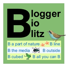 Blogger Bioblitz