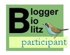 Blogger Bioblitz