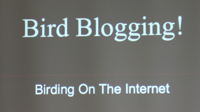 Bird Blogging slide