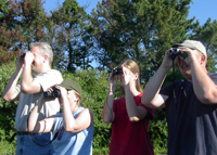 Jamaica Bay Birders 